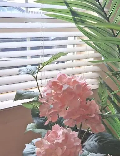 The 5 Bedrooms キリーベグス